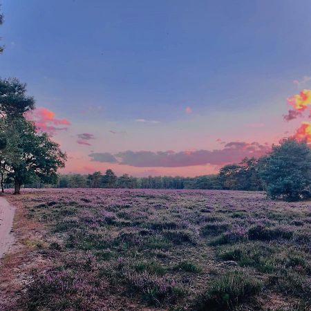Sluwe Vos: Ontspannen In Het Bos! Otterlo Ngoại thất bức ảnh