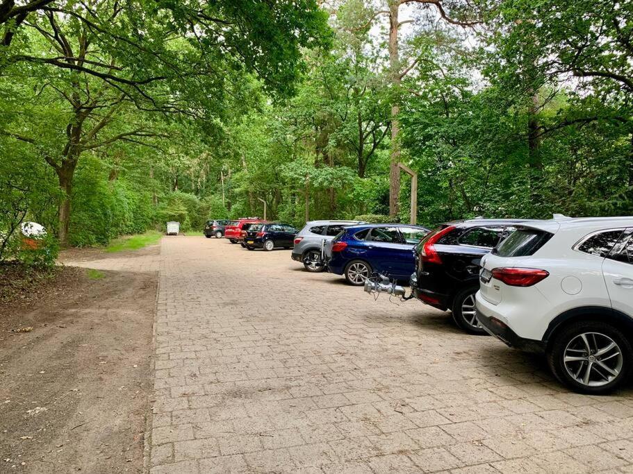 Sluwe Vos: Ontspannen In Het Bos! Otterlo Ngoại thất bức ảnh